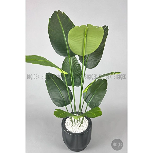 Biçiçek Yapay Muz Ağacı 145-185 Cm Siyahh Biçiçek Yapay Muz Ağacı 145-185 Cm Siyahh