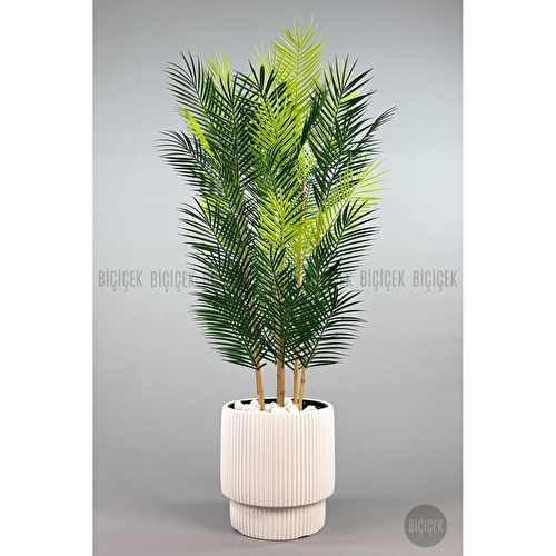 Biçiçek Yapay Areka Palmi̇yesi̇ 6 Gövde Gala Saksida Yoğun Yaprakli Beyaz Biçiçek Yapay Areka Palmi̇yesi̇ 6 Gövde Gala Saksida Yoğun Yaprakli Beyaz