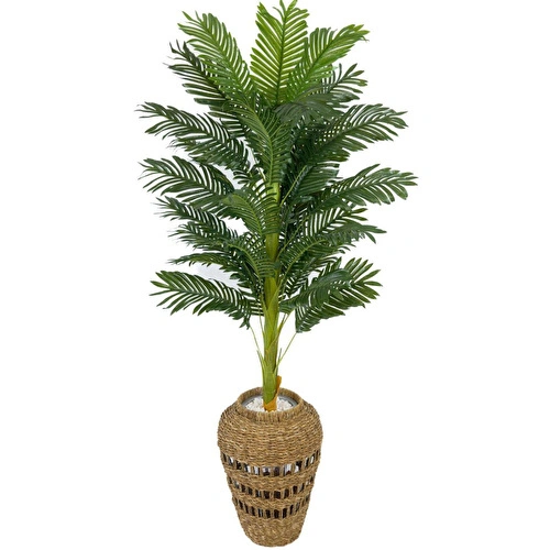 Biçiçek Luxury Areka Palmiyesi 160cm Hasır Saksıda Bohem3