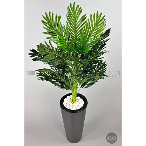 Biçiçek 150cm Areka Ağacı Kumsal Saksıda 2