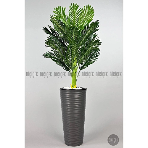 Biçiçek 150cm Areka Ağacı Kumsal Saksıda 2