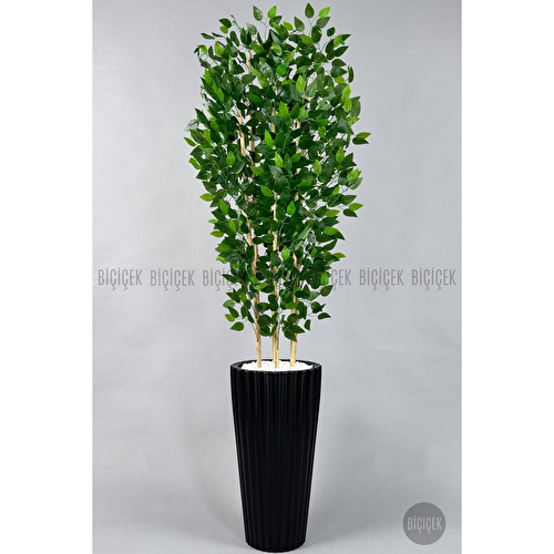 Biçiçek Yapay Bambu Ve Benjamin 6 Dallı Yoğun Yapraklı 220 Cm Siyahbenjami̇n