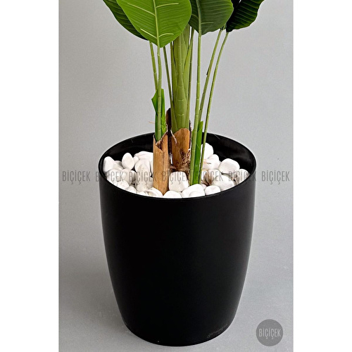 Biçiçek Yapay Ağaç Starliçe Bambu Gövdeli 220cm Büyük Boy Siyah Renk Yakut Saksıda Biçiçek Yapay Ağaç Starliçe Bambu Gövdeli 220cm Büyük Boy Siyah Renk Yakut Saksıda