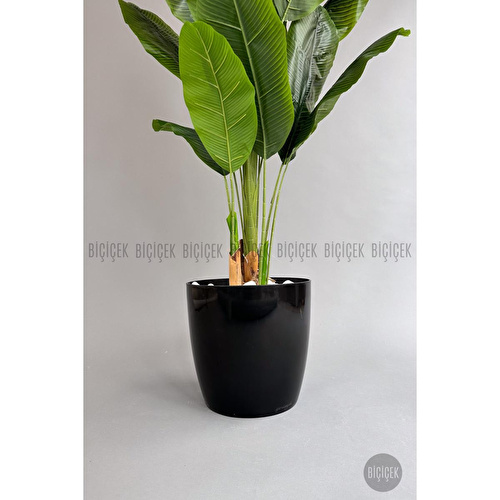 Biçiçek Yapay Ağaç Starliçe Bambu Gövdeli 220cm Büyük Boy Siyah Renk Yakut Saksıda Biçiçek Yapay Ağaç Starliçe Bambu Gövdeli 220cm Büyük Boy Siyah Renk Yakut Saksıda