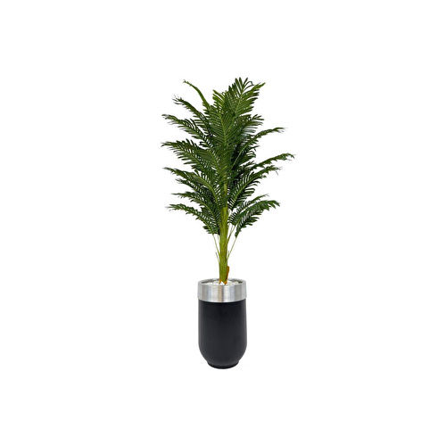 Biçiçek Areka Palmiyesi 170cm Metal Siyah Gümüş Darbuka Saksıda Biçiçek Areka Palmiyesi 170cm Metal Siyah Gümüş Darbuka Saksıda