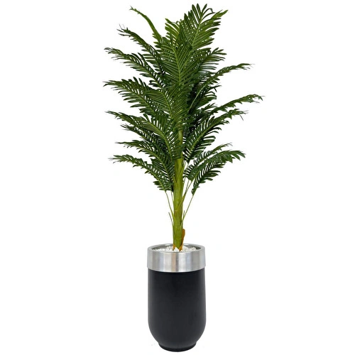 Biçiçek Areka Palmiyesi 170cm Metal Siyah Gümüş Darbuka Saksıda
