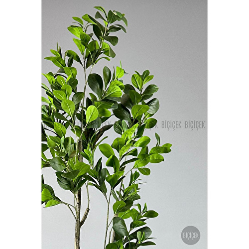 Biçiçek Yapay Manolya Ağacı 150-180cm Siyah1