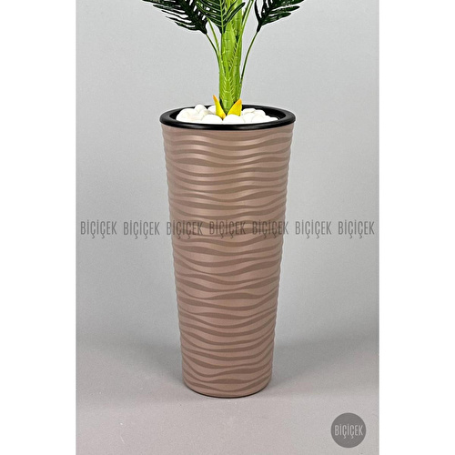 Biçiçek 150cm Areka Ağacı Kumsal Saksıda 3