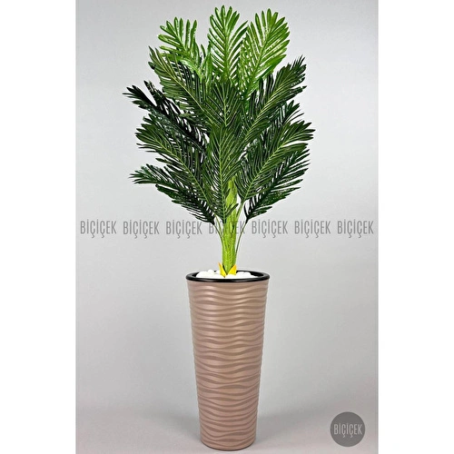 Biçiçek 150cm Areka Ağacı Kumsal Saksıda 3
