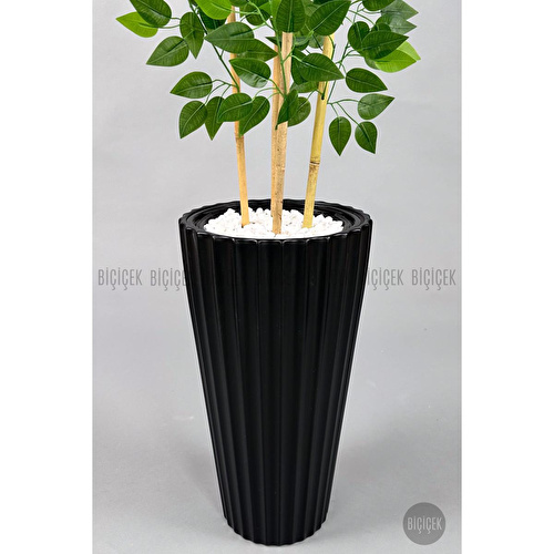 Biçiçek Yapay Bambu Ve Benjamin 4 Dal Yoğun Yapraklı 180 Cm Siyahbenjamin Biçiçek Yapay Bambu Ve Benjamin 4 Dal Yoğun Yapraklı 180 Cm Siyahbenjamin