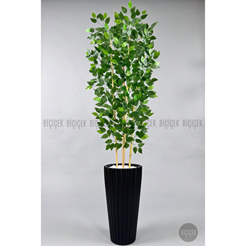 Biçiçek Yapay Bambu Ve Benjamin 4 Dal Yoğun Yapraklı 180 Cm Siyahbenjamin Biçiçek Yapay Bambu Ve Benjamin 4 Dal Yoğun Yapraklı 180 Cm Siyahbenjamin