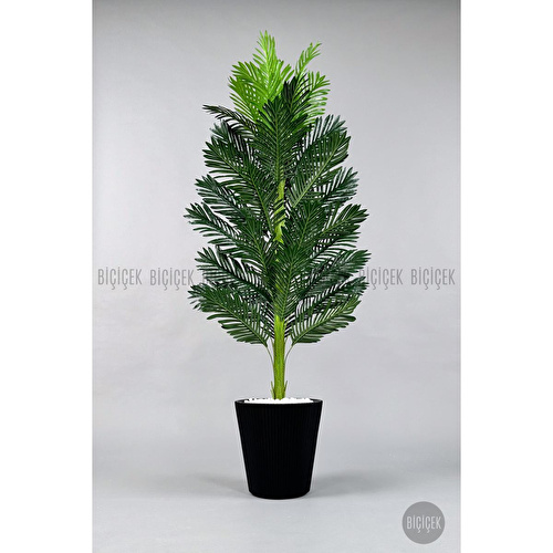 Biçiçek Yapay Areka Ağacı 160-180 Cm Siyahluna180cm Biçiçek Yapay Areka Ağacı 160-180 Cm Siyahluna180cm