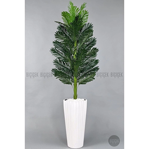 Biçiçek Yapay Areka Ağacı 220 Cm Beyaz