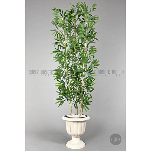 Biçiçek Yapay Bambu Ağacı 170cm Yoğun Yapraklı Kırık Beyaz Renk Nergis Saksıda