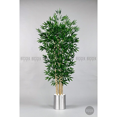 Biçiçek Yapay Bambu Ağacı 170cm Gümüş Metal Saksıda Biçiçek Yapay Bambu Ağacı 170cm Gümüş Metal Saksıda