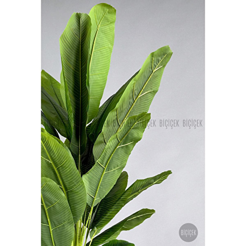 Biçiçek Yapay Muz Ağacı 185-220 Cm Siyah Biçiçek Yapay Muz Ağacı 185-220 Cm Siyah