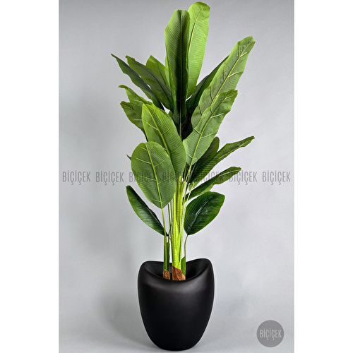Biçiçek Yapay Muz Ağacı 185-220 Cm Siyah Biçiçek Yapay Muz Ağacı 185-220 Cm Siyah