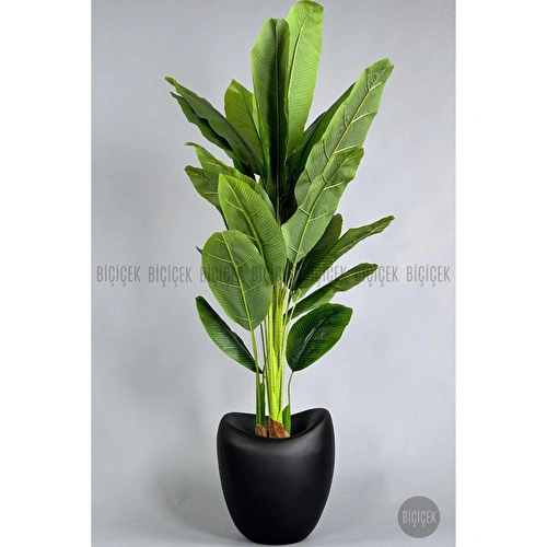 Biçiçek Yapay Muz Ağacı 185-220 Cm Siyah