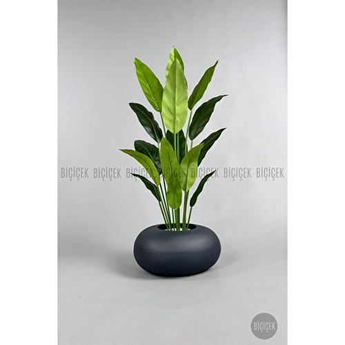 Biçiçek Yapay Starliçe Ağacı 140-170 Cm Gri2 Biçiçek Yapay Starliçe Ağacı 140-170 Cm Gri2