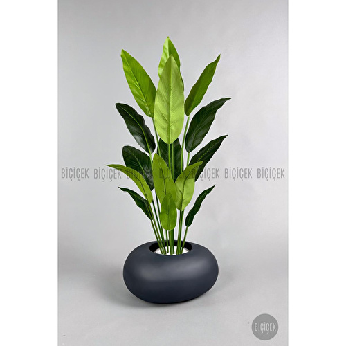 Biçiçek Yapay Starliçe Ağacı 140-170 Cm Gri2 Biçiçek Yapay Starliçe Ağacı 140-170 Cm Gri2