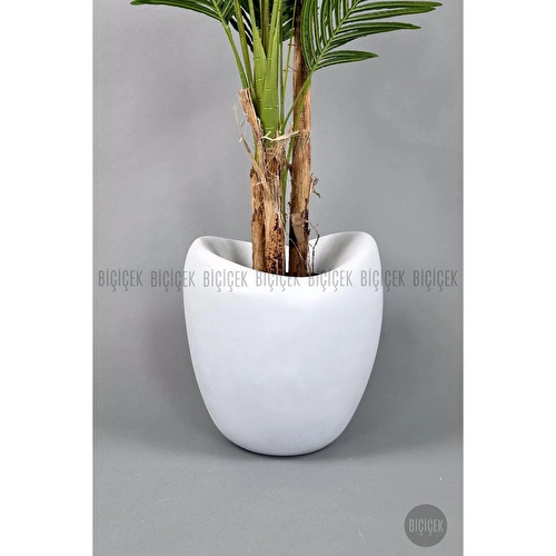 Biçiçek Areka Ağacı 220-240 Cm Beyazfiber1