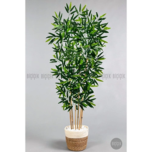 Biçiçek Yapay Bambu Ağacı 6 Dallı 150 Cm Yoğun Yapraklı Hasır2 Biçiçek Yapay Bambu Ağacı 6 Dallı 150 Cm Yoğun Yapraklı Hasır2