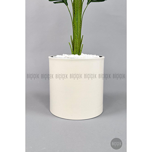 Biçiçek Yapay Areka Ağacı 160-180 Cm Kremdüz170cm