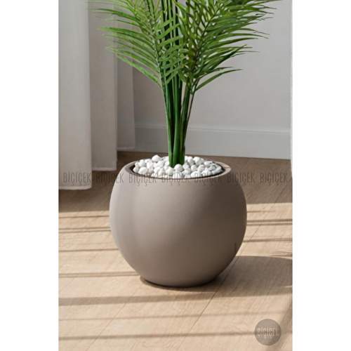 Biçiçek Areka Ağaci 24 Yaprakli 130 Cm Küre Saksida Kahverengi