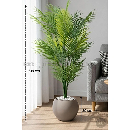 Biçiçek Areka Ağaci 24 Yaprakli 130 Cm Küre Saksida Kahverengi