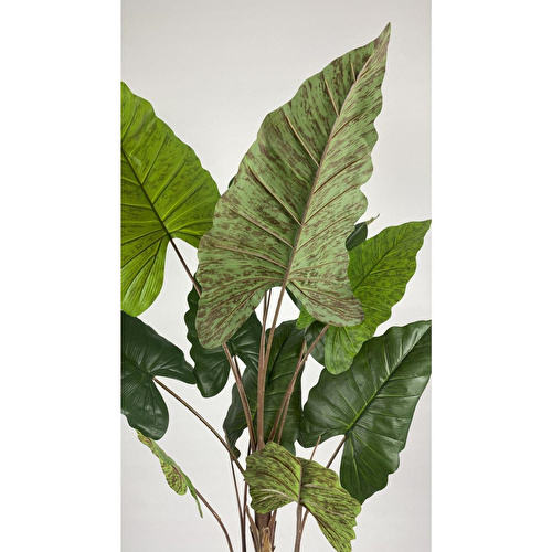 Biçiçek Yapay Ağaç Starliçe Kahverengi Difenbahya Bambu Gövdeli 240cm Büyük Boy Antrasit Renk Nergis Saksıda