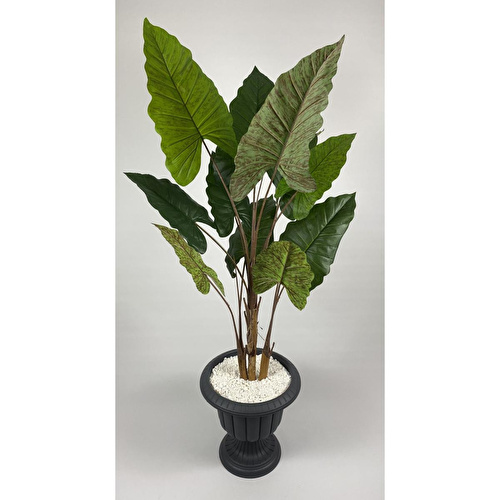 Biçiçek Yapay Ağaç Starliçe Kahverengi Difenbahya Bambu Gövdeli 240cm Büyük Boy Antrasit Renk Nergis Saksıda