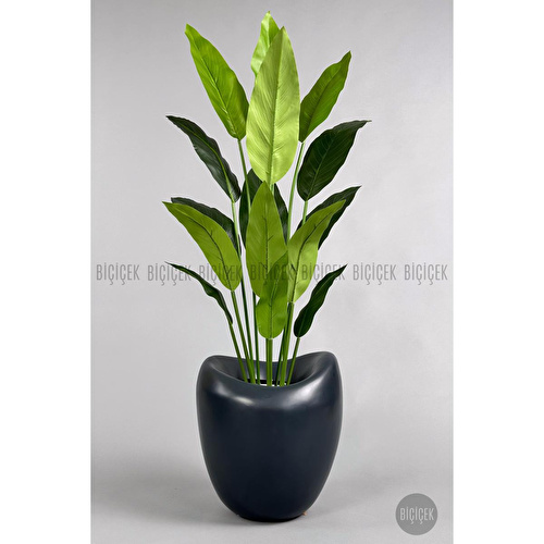 Biçiçek Yapay Starliçe Ağacı 140-170 Cm Siyah1