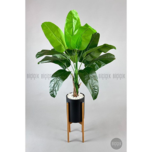 Biçiçek Muz Ağacı Tek Gövde 125-175 Cm Metalik Biçiçek Muz Ağacı Tek Gövde 125-175 Cm Metalik
