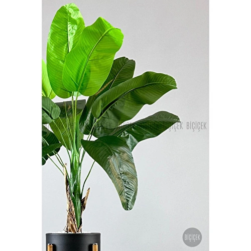 Biçiçek Muz Ağacı Tek Gövde 125-175 Cm Metalik Biçiçek Muz Ağacı Tek Gövde 125-175 Cm Metalik