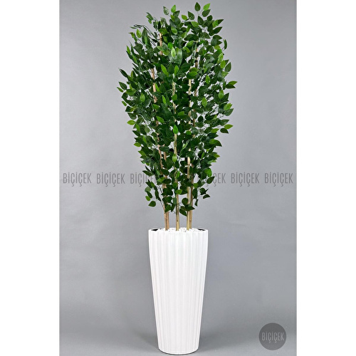 Biçiçek Yapay Bambu Ve Benjamin 6 Dallı Yoğun Yapraklı 220 Cm Beyazbenjami̇n