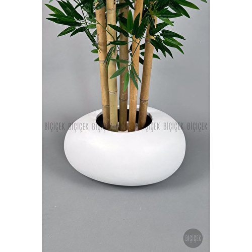 Biçiçek Zen Bambu Ağacı 220-240 Cm Fiber Saksıda Beyazfiber1 Biçiçek Zen Bambu Ağacı 220-240 Cm Fiber Saksıda Beyazfiber1