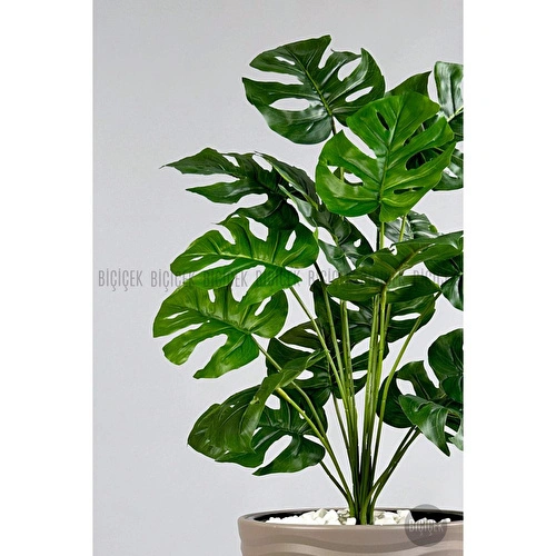 Biçiçek Yapay Çiçek Salon Bitkisi Monstera Deve Tabanı Bej Renk Kumsal Saksıda