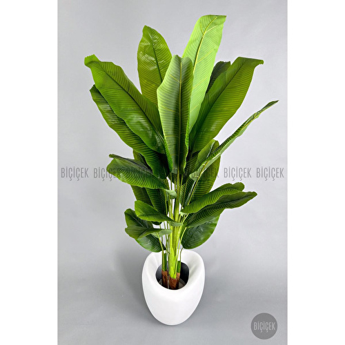 Biçiçek Yapay Muz Ağacı 185-220 Cm Beyaz