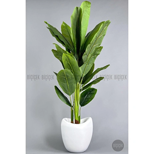 Biçiçek Yapay Muz Ağacı 185-220 Cm Beyaz