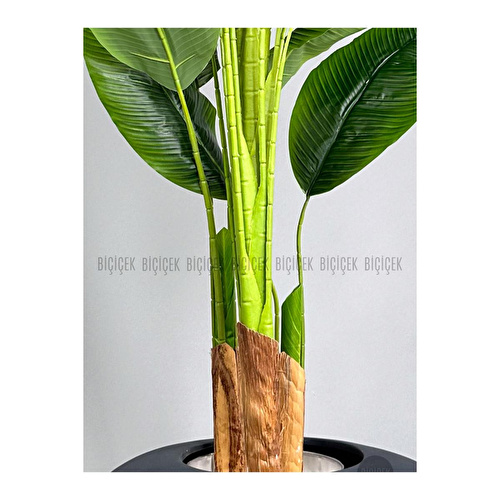 Biçiçek Yapay Muz Ağacı 185-220 Cm Gri1 Biçiçek Yapay Muz Ağacı 185-220 Cm Gri1