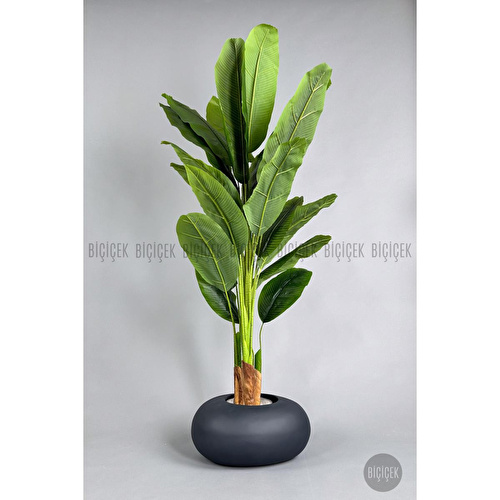 Biçiçek Yapay Muz Ağacı 185-220 Cm Gri1 Biçiçek Yapay Muz Ağacı 185-220 Cm Gri1