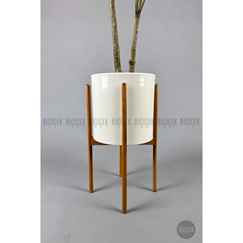 Biçiçek Yapay Manolya Ağacı 150-180cm Krem1 Biçiçek Yapay Manolya Ağacı 150-180cm Krem1