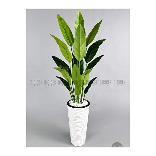 Biçiçek Yapay Starliçe Ağacı 140-170 Cm Beyaz Biçiçek Yapay Starliçe Ağacı 140-170 Cm Beyaz