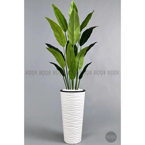 Biçiçek Yapay Starliçe Ağacı 140-170 Cm Beyaz Biçiçek Yapay Starliçe Ağacı 140-170 Cm Beyaz