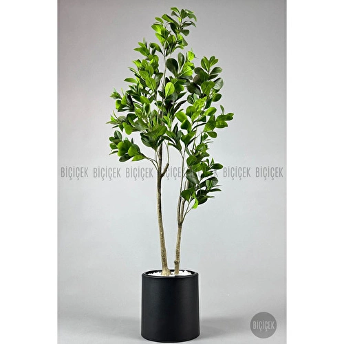 Biçiçek Yapay Manolya Ağacı 150-180cm Siyah