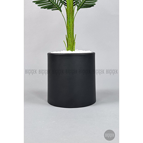 Biçiçek Yapay Areka Ağacı 160-180 Cm Siyahdüz170cm Biçiçek Yapay Areka Ağacı 160-180 Cm Siyahdüz170cm