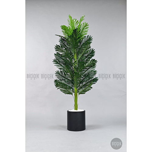 Biçiçek Yapay Areka Ağacı 160-180 Cm Siyahdüz170cm Biçiçek Yapay Areka Ağacı 160-180 Cm Siyahdüz170cm