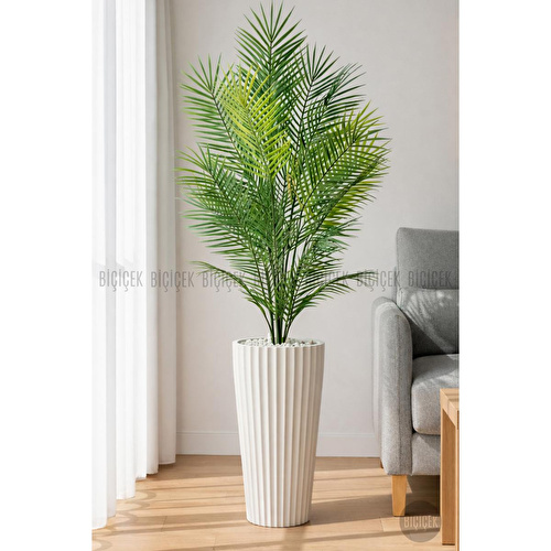 Biçiçek 180 Cm Areka Ağaci 24 Yaprakli Li̇lyum Saksida Beyazlilyum