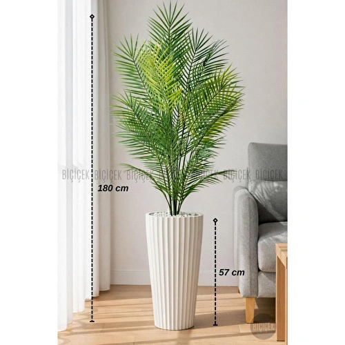 Biçiçek 180 Cm Areka Ağaci 24 Yaprakli Li̇lyum Saksida Beyazlilyum