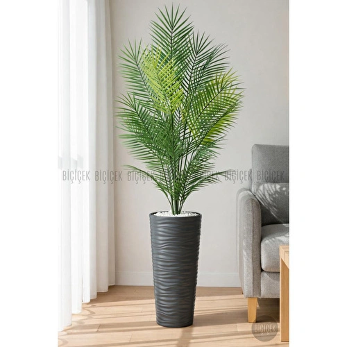 Biçiçek 180 Cm Areka Ağaci 24 Yaprakli Li̇lyum Saksida Antresit Biçiçek 180 Cm Areka Ağaci 24 Yaprakli Li̇lyum Saksida Antresit